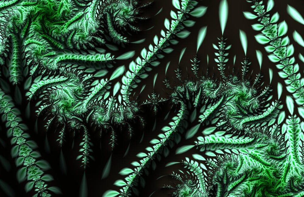 Vines