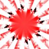 Rising Sun